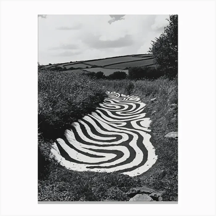 ‘Spiral Path’ Canvas Print by ThatWorksMedia