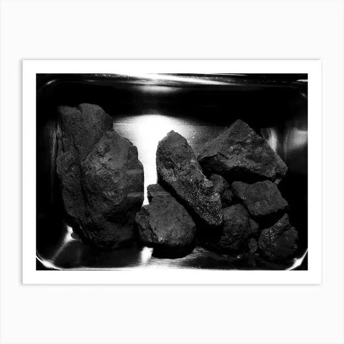 A Close Up View Of The Lunar Rocks Contained In The Second Apollo 11 Sample Return Container Art Print by Fy! Classic Art Prints and Posters