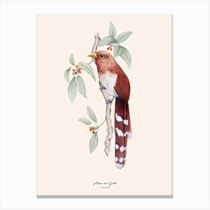Alma De Gato Canvas Print by Marcela Picinin