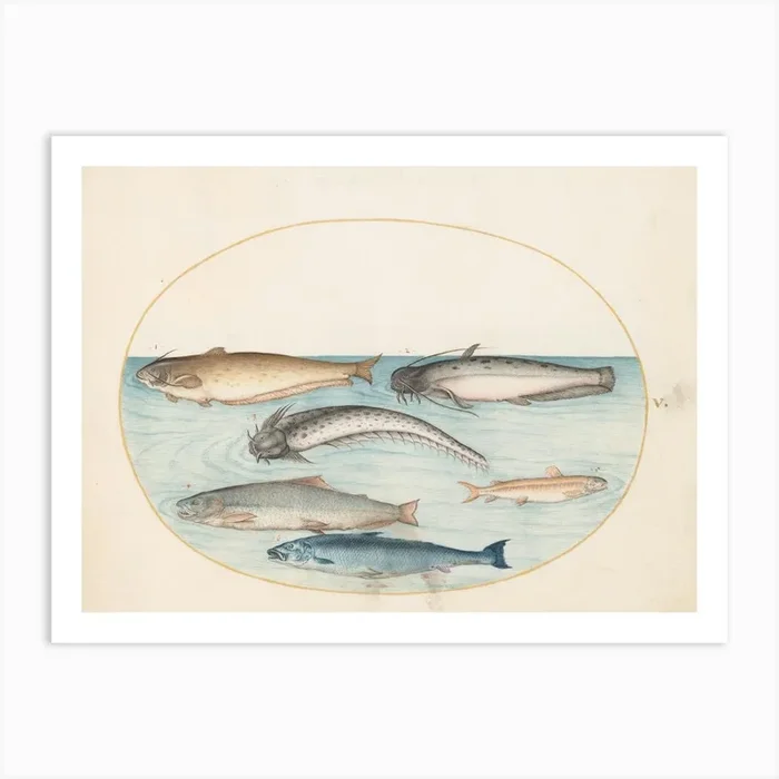 Animalia Aqvatilia Et Cochiliata , Joris Hoefnagel 1 Art Print by Fy! Classic Art Prints and Posters