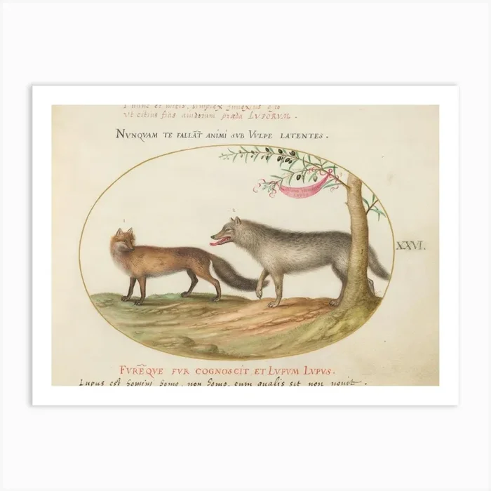 Animalia Qvadrvpedia Et Reptilia (1575 1580), Joris Hoefnagel Art Print by Fy! Classic Art Prints and Posters