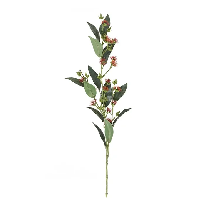 Australiana Stem Flowering Eucalyptus