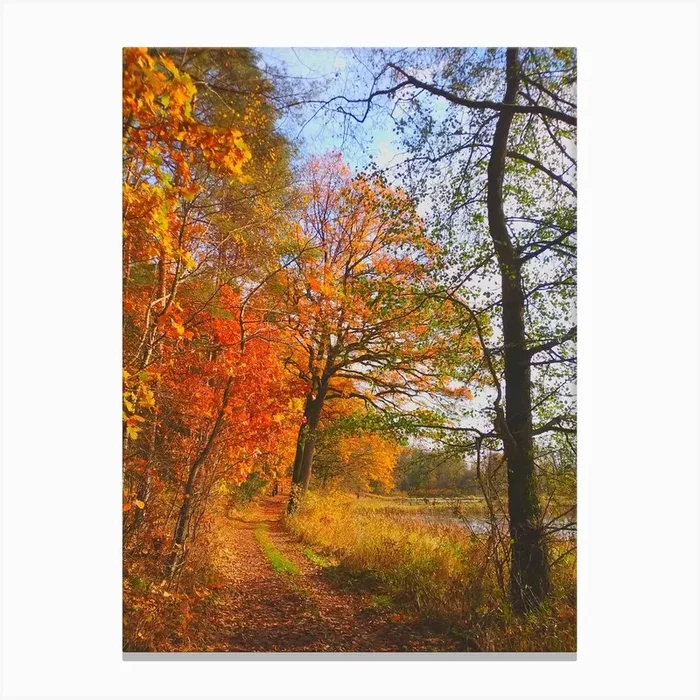 Autumn Trail trees Canvas Print by imagine