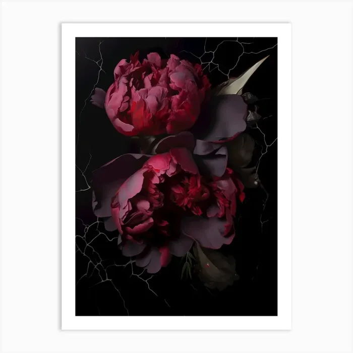 Black absolute trend, dark red peony, Black Shik, bedroom print art Art Print by Nevbreduliya