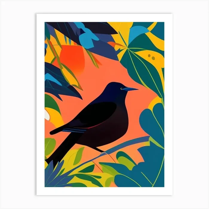 Blackbird Pop Matisse 2 Bird Art Print by Featherline