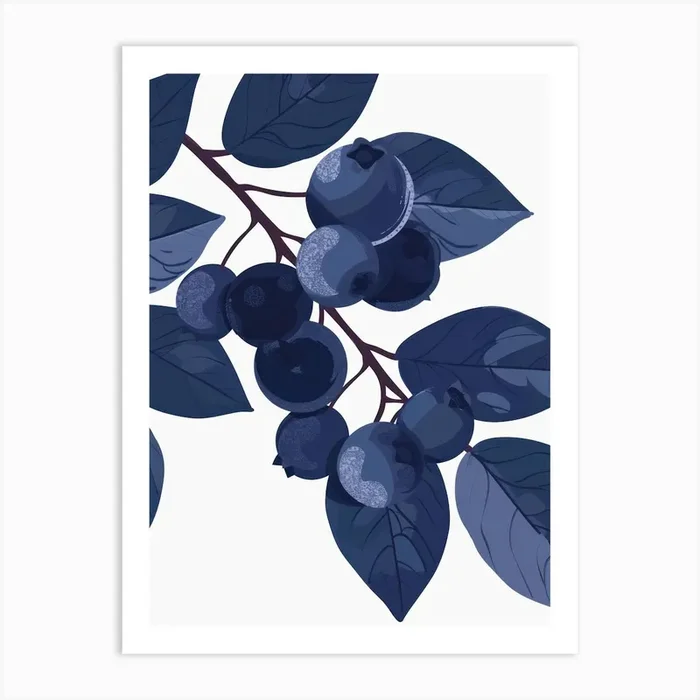 Blueberries Close Up Illustration 2 Art Print by Colourful Harvest