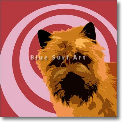 Cairn Terrier