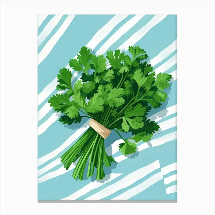 Cilantro Summer Illustration 8 Canvas Print by Dreamy Seasons Art