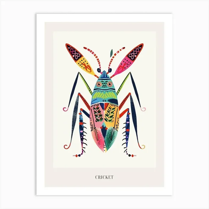 Colourful Insect Illustration Cricket 5 Poster Art Print by Ritual Art Prints