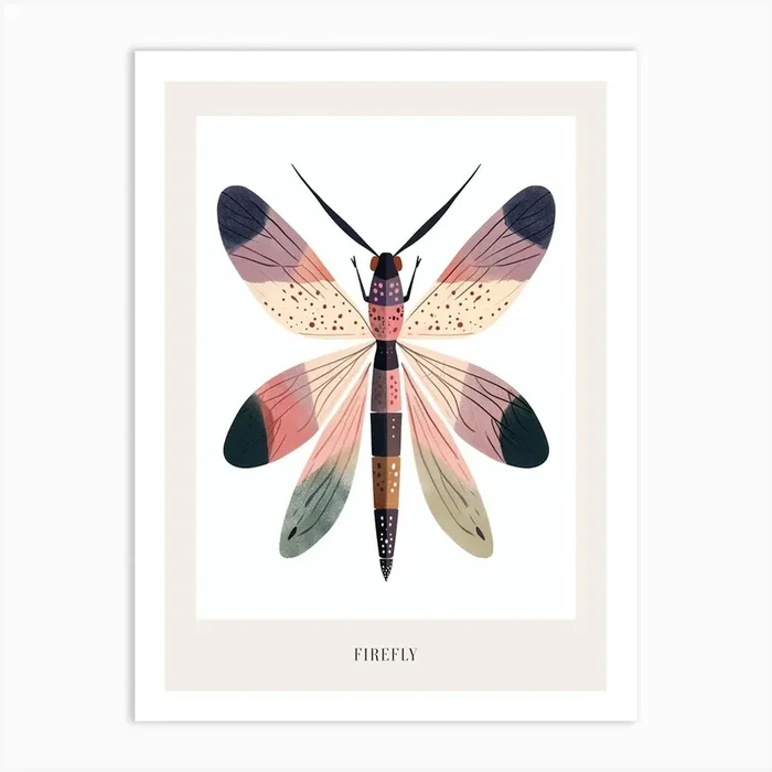 Colourful Insect Illustration Firefly 13 Poster Art Print by Ritual Art Prints