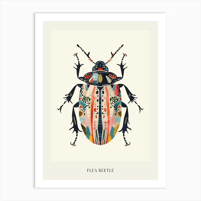 Colourful Insect Illustration Flea Beetle 5 Poster Art Print by Ritual Art Prints