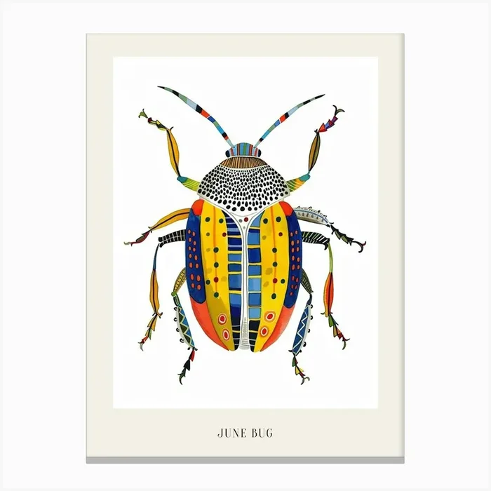 Colourful Insect Illustration June Bug 11 Poster Canvas Print by Ritual Art Prints