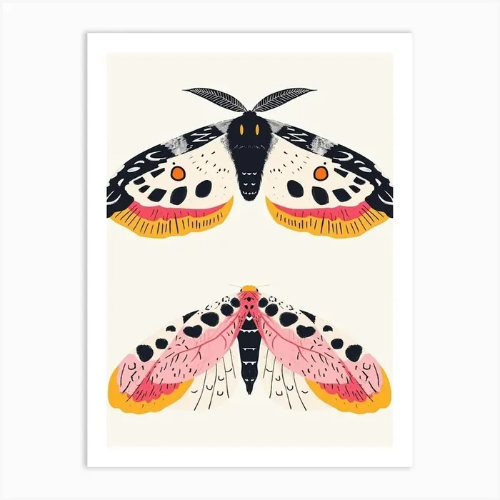 Colourful Insect Illustration Moth 2 Art Print by Ritual Art Prints