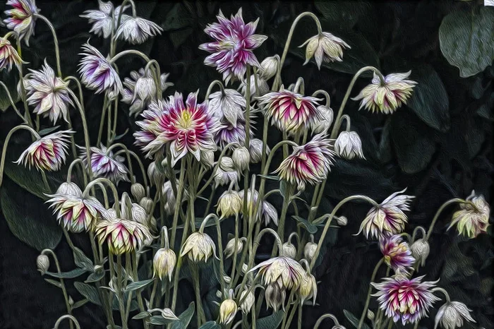 Cornwall Botanical – Small