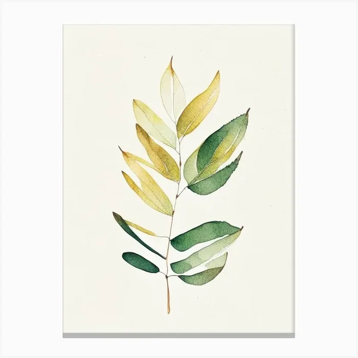 Curry Leaf Minimalist Watercolour 1 Canvas PrintL& by Leaf & Stem Studio