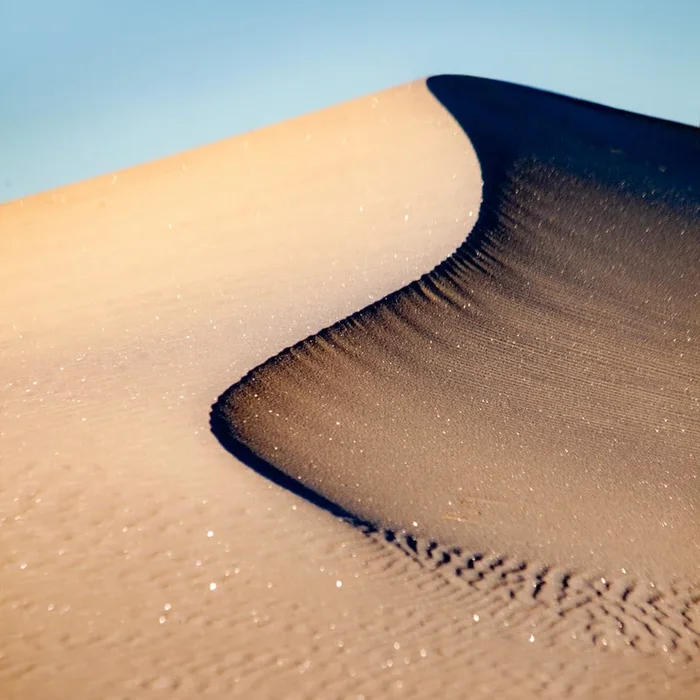 Curve – Medium