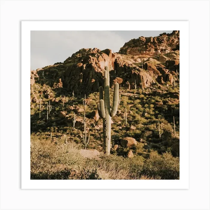 Desert Cactus Scenery Art PrintGS by Golden Saguaro