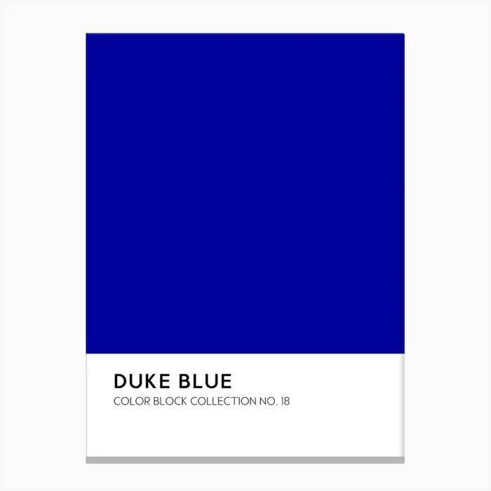 Duke Blue Color Block Collection Wall Canvas Print by Shark Printables