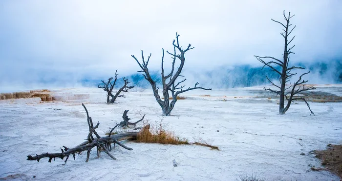 Early Morning, Yellowstone – Small