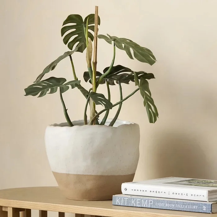 Elisa White & Natural Pot