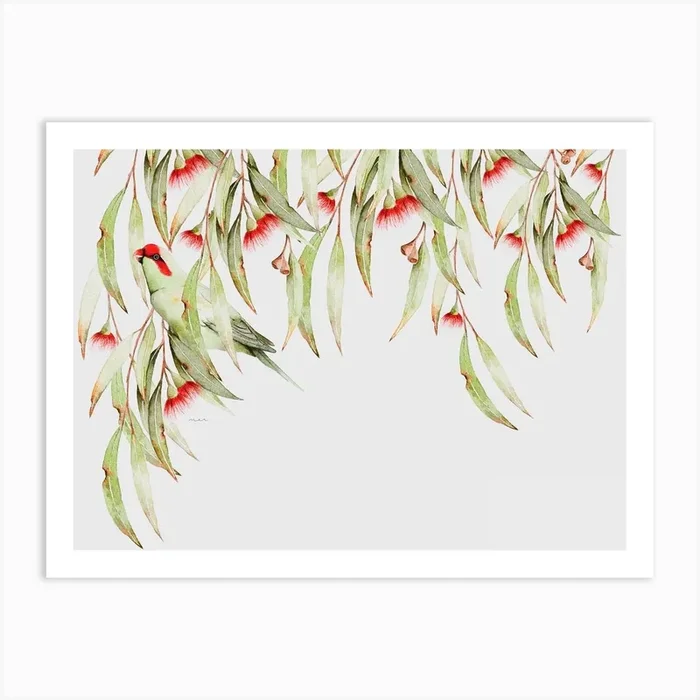 Eucalyptus Visitor 2 Art Print by Marcela Picinin