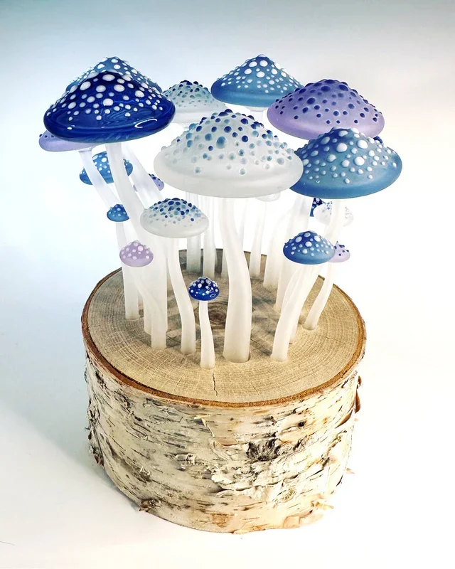 Fairy Ring