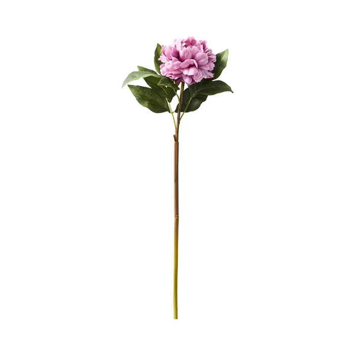 Fleur Peony Purple Stem