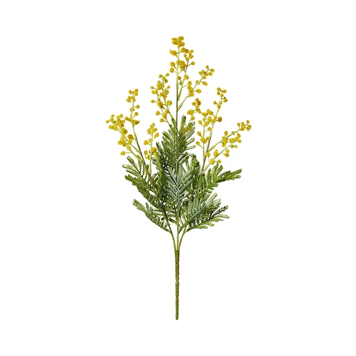 Fleur Stems Yellow Wattle