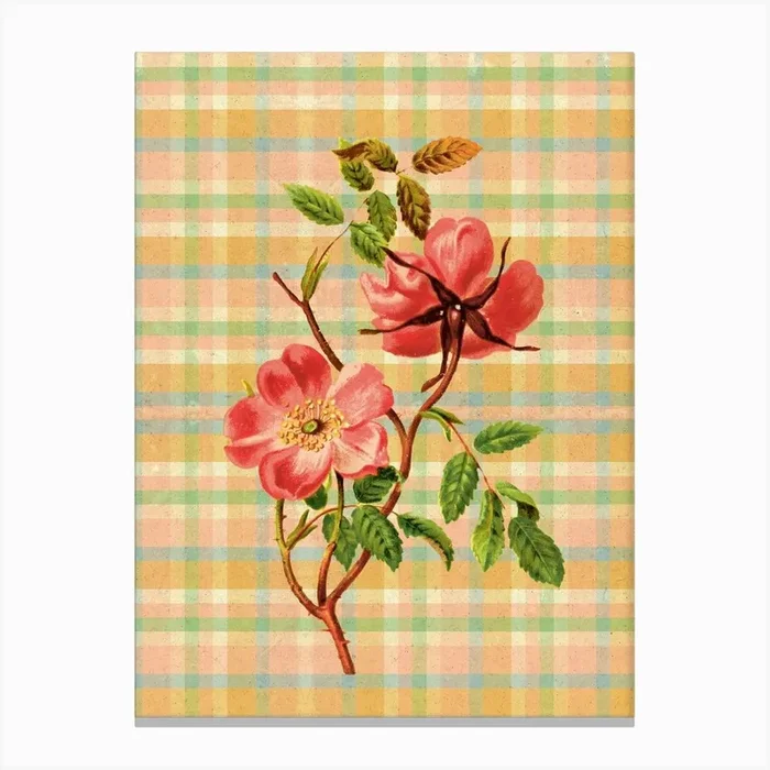 Floral Garden 11 Canvas Print by Lazy Day Paper
