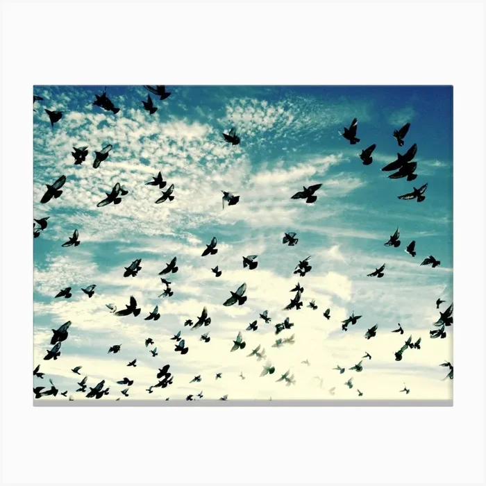 Flying Birds – Blue Sky – Photography Canvas Print by natural neutral