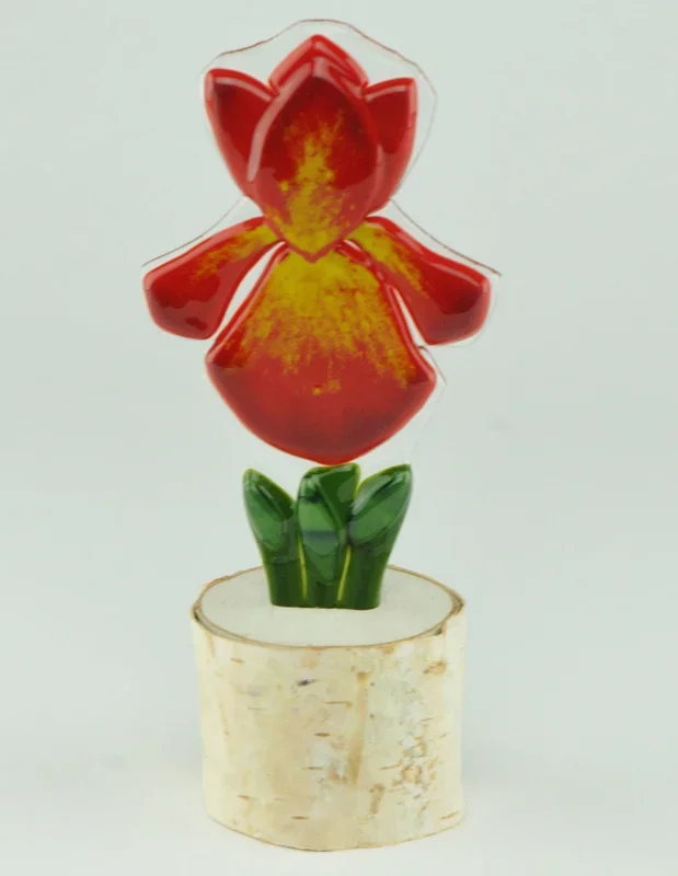 Garden Iris – Fire Starter