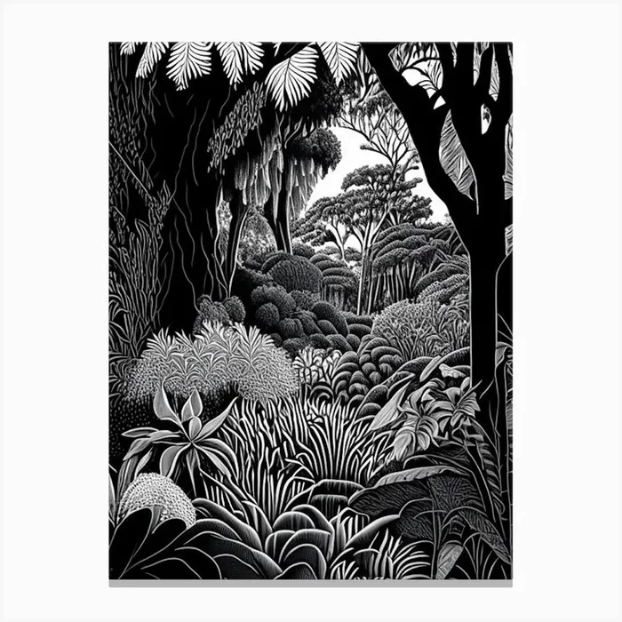 Geelong Botanic Gardens, Australia Linocut Black And White Vintage Canvas PrintGO by Gardens of the World Art Prints & Posters