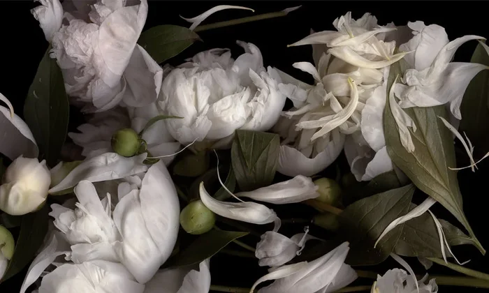 It is not the moon, I tell you. It is these flowers. – Small