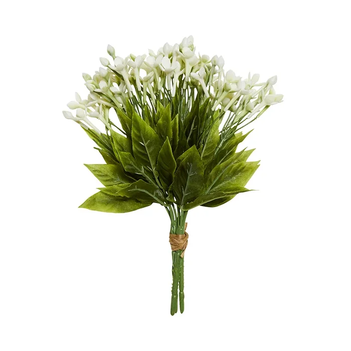 Jasmine Bunch White
