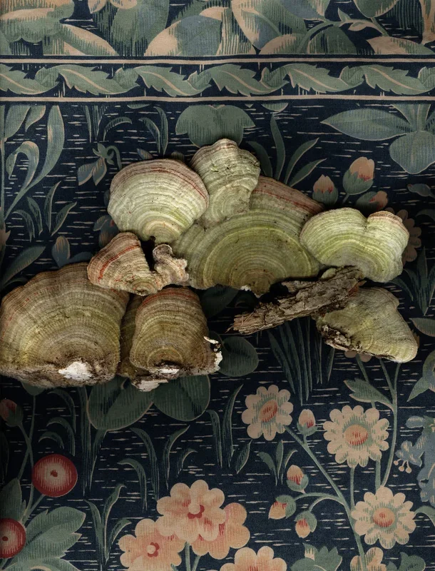 Mushrooms on Textile – Medium
