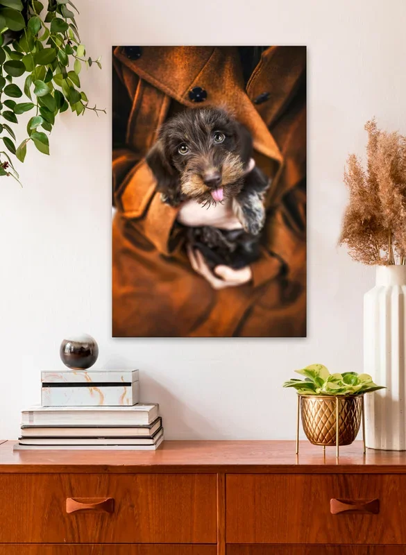 New Here Canvas Wall Art