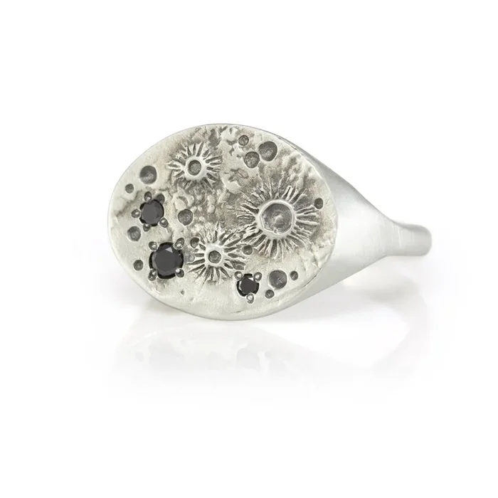Oval Moon Signet Ring – Brushed Silver