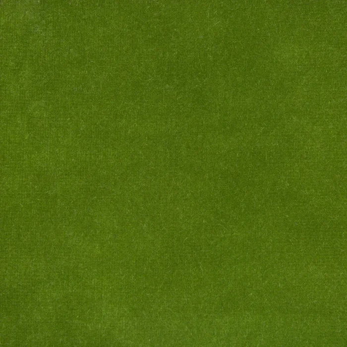 Paige Ivy Green Velvet Fabric
