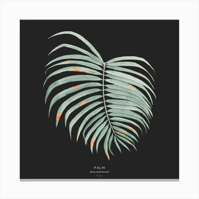 Palm Square Canvas Print by Marcela Picinin