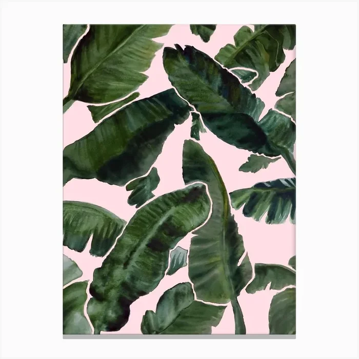 Palms Canvas Print by Laura OConnor