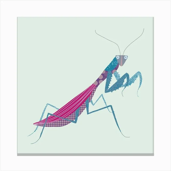 Praying Mantis Canvas PrintNS by Nic Squirrell