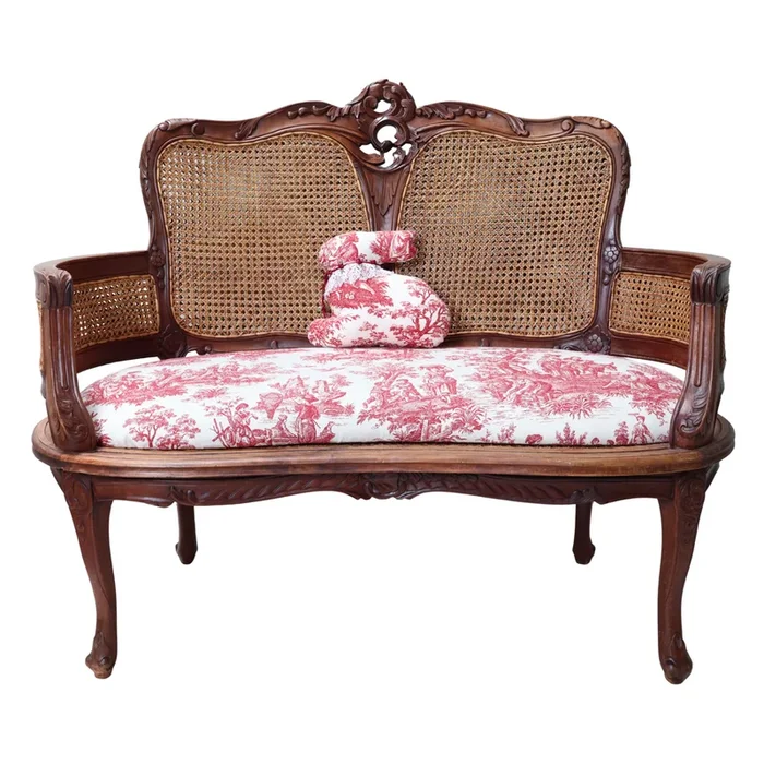 Precious Cane Settee in Red Toile