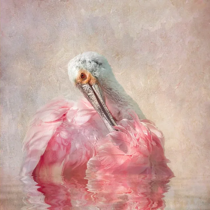 Rhapsody in Pink – Large