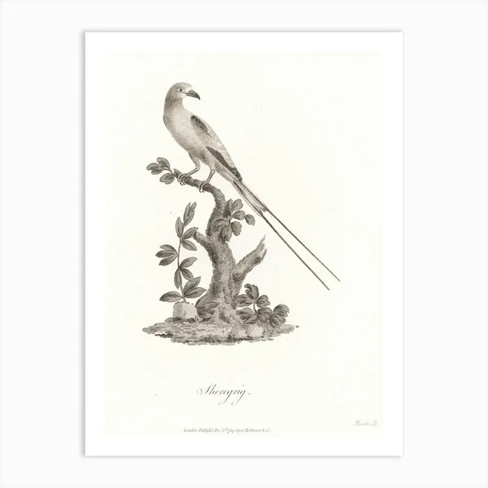 Sheregrig, James Heath Art Print by Fy! Classic Art Prints and Posters