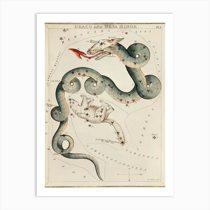 Sidney Hall’s (1831), Astronomical Chart Illustration Of The Draco And The Ursa Minor Art Print by Fy! Classic Art Prints and Posters