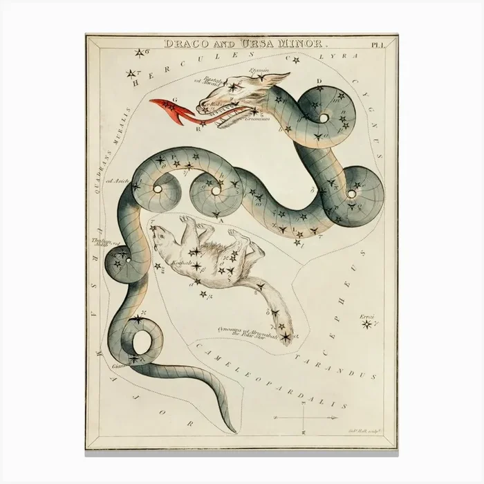 Sidney Hall’s (1831), Astronomical Chart Illustration Of The Draco And The Ursa Minor Canvas Print by Fy! Classic Art Prints and Posters