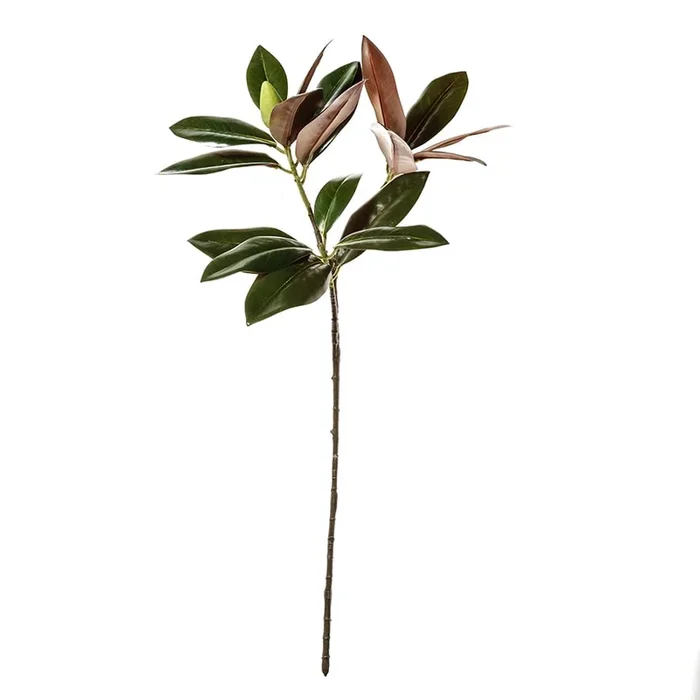 Spring Stems Magnolia Leaf Green