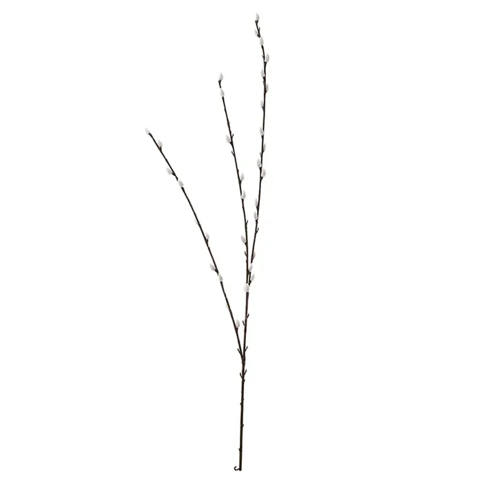 Spring Stems Pussy Willow Brown