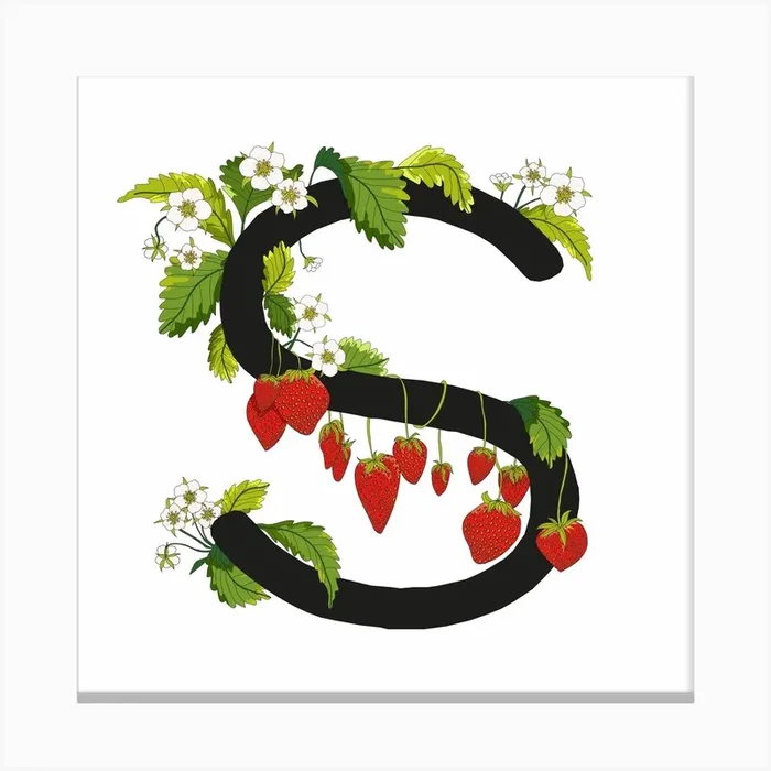 Strawberry Alphabet Letter S Square Canvas Print by Jess Orme-Dawson