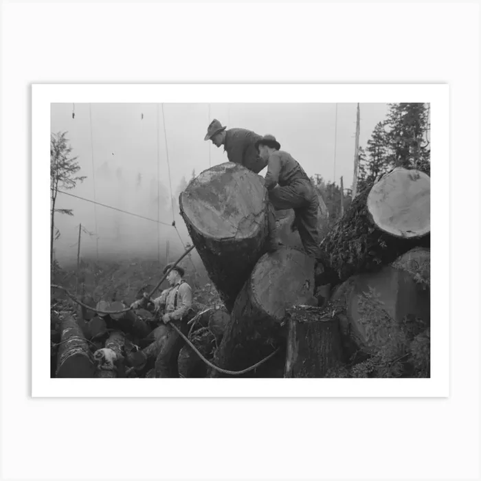 The Choker Puts Choker Loop On Log For Transporting From Woods To Yard By Means Of Donkey Engine, Cables And Art Print by Fy! Classic Art Prints and Posters